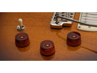 PRS SE DGT Standard Moons MTS PRS SE DGT Standard Moons MTS